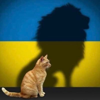 I love all animals, 3 cats & a raging kitten keep me humble. I Vote Blue & want our nation’s democracy to survive these ‘trying times’. Slava Ukraini🇺🇦