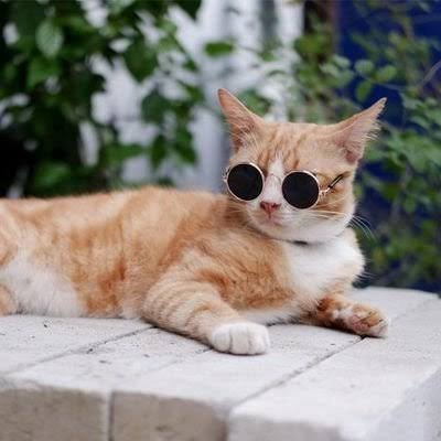 Nasanjbs's profile picture. Enjoy