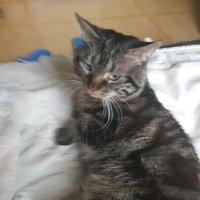 Mad (@mad59757625) 's Twitter Profile