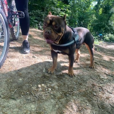 Cheeko1991's profile picture. 