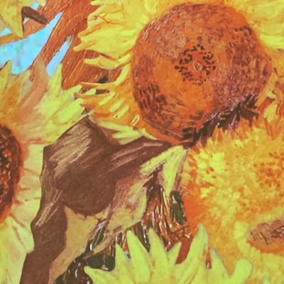 AnnieMacnCheez's profile picture. 