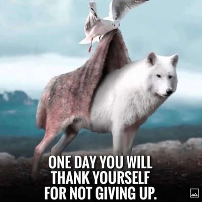 Chris_bhen's profile picture. P R O C E S S I N G...