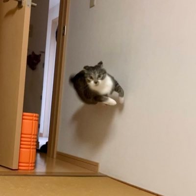 eviesadlr's profile picture. 