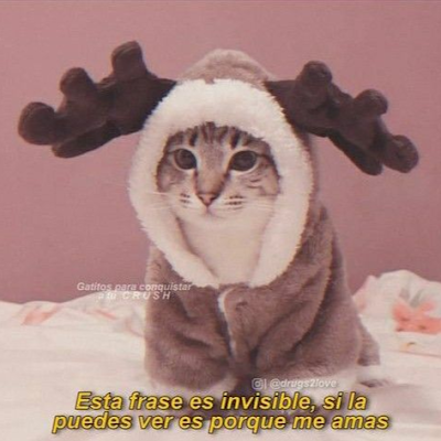 seyun63026780's profile picture. 