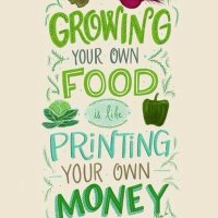 Smallholders Ireland (@smallholderirl) 's Twitter Profile Photo Smallholders Ireland (@smallholderirl) 's Twitter Profile Photo