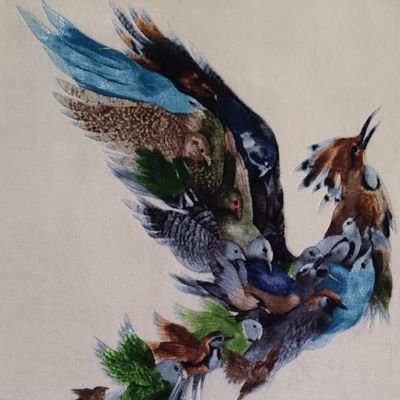 Siamak51931955's profile picture. crypto&NFT