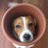 Joaquín Otón (@drkino) Twitter profile photo