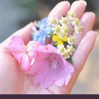 انا المستثنى في كل شيء .فا أنا لاأُشبه البقيه..لستُ كامله ولامثاليه .لكني دائماً حقيقيه ..وهذا يكفي♥️ ..