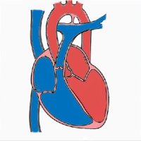 HF Virtual Ward (@hf_virtualward) 's Twitter Profile