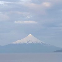 Agustin (@aanusbaum) 's Twitter Profile Photo