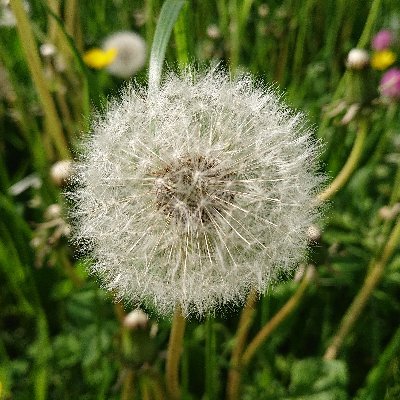 sentinel101's profile picture. 