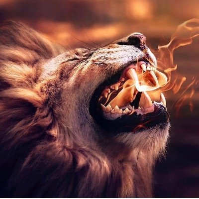 Kafisa1987's profile picture. 