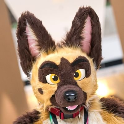 I'm Okay Ani @ FWA!さんのプロフィール画像