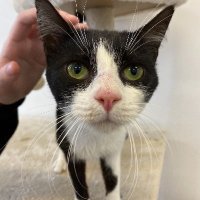 owen hunt hate account (@helloitislivy) 's Twitter Profile Photo owen hunt hate account (@helloitislivy) 's Twitter Profile Photo