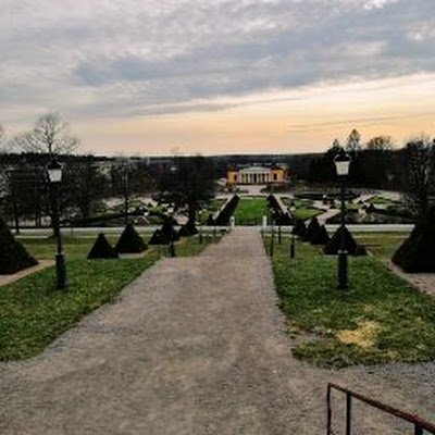 Burnley_R_shit's profile picture. Indian