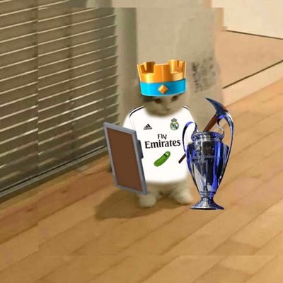 Joaqun26577411's profile picture.