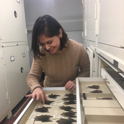 Evolutionary biologist –– comparative genomics, convergent evolution, speciation & bats 🦇(🦠)🧬 🖥️. ✨ (she/her) :D https://t.co/jpe0P1E9sp