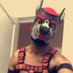Pup Epsi (@alphaepsi) Twitter profile photo Pup Epsi (@alphaepsi) Twitter profile photo