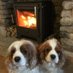 EcoStoves2022 (@stovesworldltd) Twitter profile photo EcoStoves2022 (@stovesworldltd) Twitter profile photo