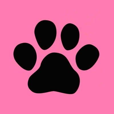 アニメタがお仕事❣️生きているだけで価値がある‼️ 猫ちゃん❤️ #WeAreれいわ新選組 #頑張るべきは政治 #山本太郎を総理大臣に #消費税廃止 #インボイスまだ止められる #アニマルウェルフェア🐾 主権者は国民‼️緊急事態条項は危ない‼️日本の報道に憂う💧れいわ オーナーズ👍れいわ仲間と繋がりたい❤️