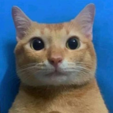 sebo1738's profile picture. #datascientist #coys #peru @uwaterloo | where I work(ed): @shopify @1password @thescore @espn