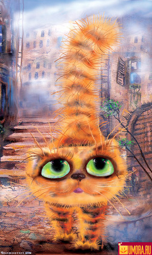 WorldTravelCat's profile picture. 