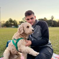 Tomba (@tomivaras4) 's Twitter Profile