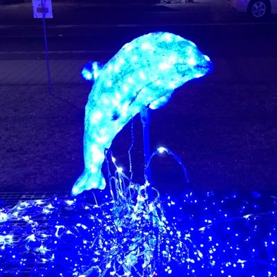 💙🌱かさっち🌱💙さんのプロフィール画像
