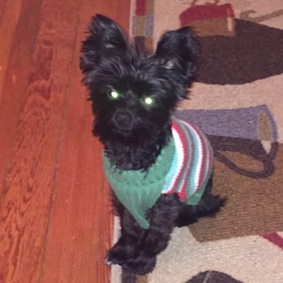 ElisaLopeztello's profile picture. Baseball fan ⚾️