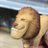 Sawyer_815