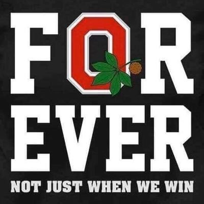 Born and bred buckeye nation I have scarlet and grey running through my veins