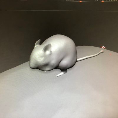 _aoi_06230714_'s profile picture. よねんせい