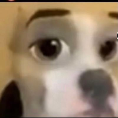 kittenc54009449's profile picture. 