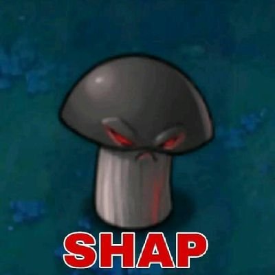 prayogo5555's profile picture. 