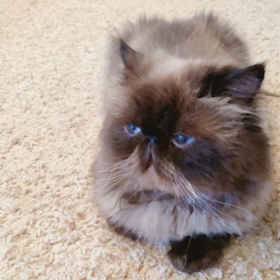 FengHuanghao's profile picture. A robot programmer, a guitar player, a music lover, but not a hard core gamer. Have fun!