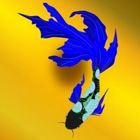 JEWELS OF META (@jewels_of_meta) 's Twitter Profile