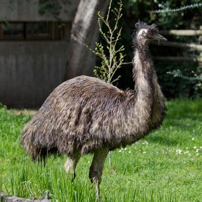 Victor___Romero's profile picture. 