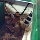 Kayla Rose Moss - @sporzchik - Twitter