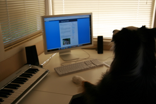 beachrunner's profile picture. Senior VP at strategic communications/pr company and Associate Professor at USC Annenberg School