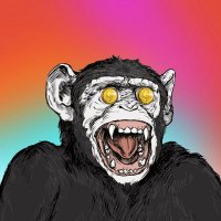 CryptoLead (@sircryptolead) 's Twitter Profile