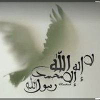 Saleh 2030 (@525lia) Twitter profile photo