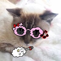 WD.Lemonade4you🐏🍕 (@dadamore0) 's Twitter Profile