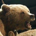 Robert Marcinko - @marcinko203 - Twitter