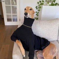 subway survivor (@nawwwwwwr) 's Twitter Profile
