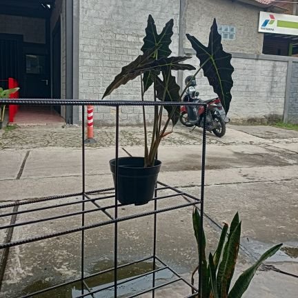 pejuangakademik's profile picture. Cari teman belajar🖊️📝📝