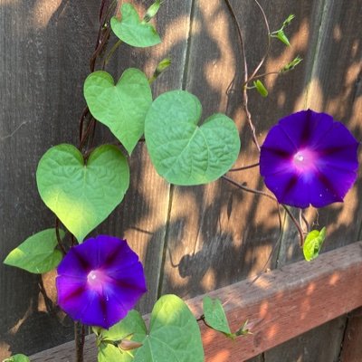 Agin48051485's profile picture. 