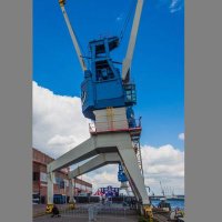 タコスザウルス (@owrdoroeng7aqsa) 's Twitter Profile Photo