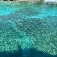 Pablo Ss (@pabloslay) 's Twitter Profile