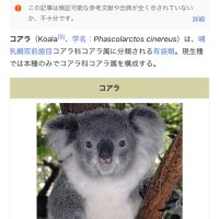 こあら 94QJwnC4_200x200.jpg
