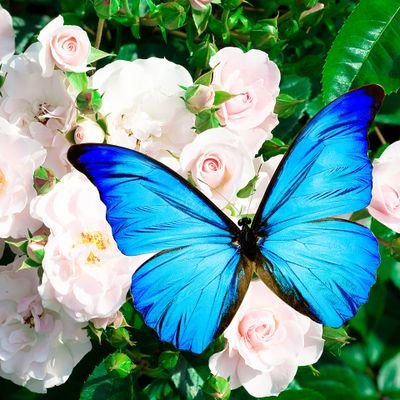 ON7xGTmOH1T2bOk's profile picture. ADHDの子をもつHSPママです。